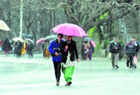People walk with umbrellas after it rained in Shimla on Thursday