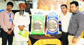 Representatives of a firm producing cattle feed launch a new product for buffaloes in Ludhiana on Thursday