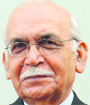 B. N. Goswamy