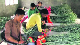 Employees work in a poly house at Kyarkuli in Mussoorie.