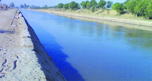 The Gang canal enters Sriganganagar district through Abohar.