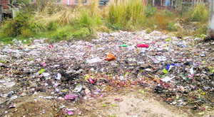 Waste strewn around in the open in the Baddi industrial area.