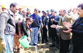 An official of the Municipal Corporation plants a sapling in Srinagar on Tuesday.