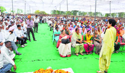 Congress Rajya Sabha member Kumari Selja campaigns for Congress candidate Naveen Jindal in Kurukshetra. A Tribune photograph