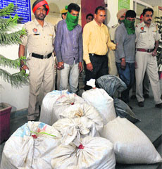 The two accused (face covered) arrested by the police with bags of poppy husk in Jalandhar on Wednesday.