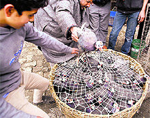 A shopkeeper sells partridges in Srinagar on Thursday