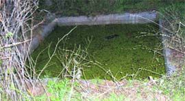 The water tank in Shiv Colony, Pinjore, where the boys body was found floating.