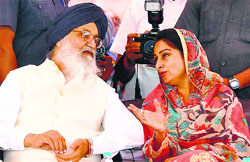 CM parkash Badal and his daughter-in-law Harsimrat Badal at an election rally at Maur on Friday. Tribune photo