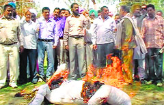 Employees burn the effigy of the state government in Fazilka on Friday. A Tribune photo