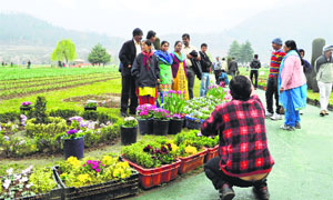 Visitors pose for a photograph at the Tulip Garden, which was thrown open to public on Saturday.