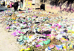 Heaps of garbage on Raikot Road in Jagraon