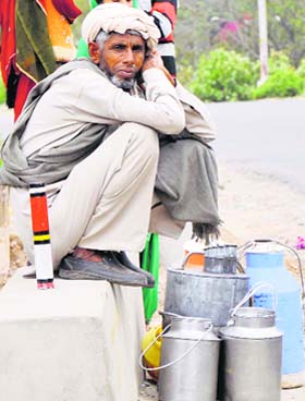A milk vendor waits for a bus on the outskirts of Jammu