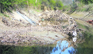 The silt deposited in the Eastern Canal in Fazilka