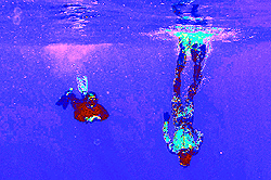 Australian divers from the Australian Defense Vessel Ocean Shield scan the water for debris from the missing Malaysian Airlines Flight 370 in the southern Indian Ocean