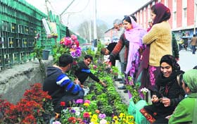 Roadside vendors sell saplings of flowers on Residency Road in Srinagar on Friday.