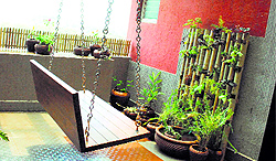 The concrete jungle around us demands a breather and what better way than to introduce a bit of green