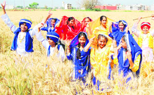 Students of Ashmah International School celebrate Baisakhi in a wheat field in Mohali.