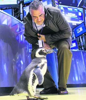 A trader looks at "Pete the Penguin" of SeaWorld Entertainment as he walks on the floor of the New York Stock Exchange