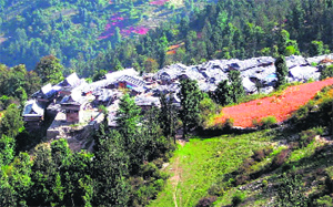 A village in Dodra-Kwar in Shimla District