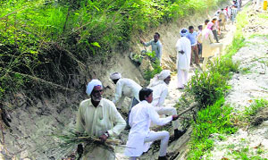 Villagers employed under the Mahatma Gandhi National Rural Employment Guarantee Act remove wild growth from the Panjawa sub-canal near Abohar. 