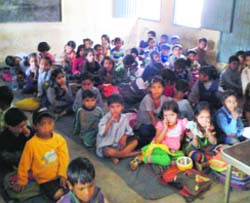 In the absence of benches, the students are being forced to sit on the floor at Government Primary School, Sector 15, Panchkula. A Tribune photograph