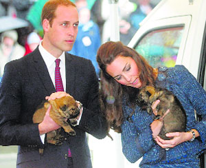 Britains Prince William and wife Catherine hold German Shepherds destined to be police dogs in Wellington before leaving New Zealand on Wednesday with baby Prince George for Australia.