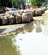 Wheat bags lie in the open at the grain market in Rohtak on Wednesday