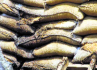 Bags filled with rotten wheat at a godown