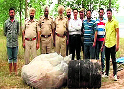 Bilga police with a huge cache of lahan on Friday
