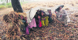 Farmers use plastic sheets to protect themselves and their crop from rain near Karhanse village in Panipat.
