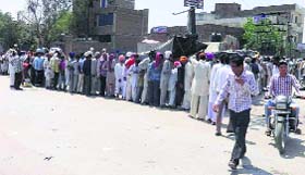 A long queue of poppy husk buyers outside a retail outlet in Sriganganagar