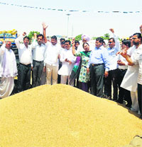 Members of the BJP-HJC alliance demonstrate at the new grain market in Thanesar, Kurukshetra, on Monday.