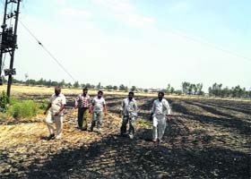 Villagers inspect the wheat field that caught fire in Jind