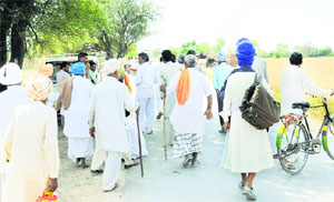 Drug addicts leave for a poppy husk vend at Haripuripur village in Rajasthan.