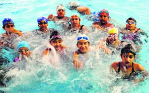 Swimmers at the All-Weather Swimming Pool in Sector 23, Chandigarh, on Wednesday. 