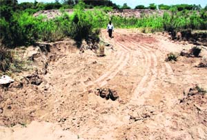 The Ghaggar river bed on the banks of Bakarpur and Chhat villages in Dera Bassi. 