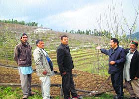Farmers at Sundarnagar village point to an apple orchard with an anti-hail net on the ground