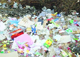 No fear of law: The picture reflects how the ban on the use and sale of polythene is being openly flouted in Palampur