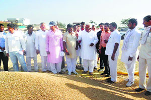 Satpal Sangwan, co-operation minister, reviews wheat procurement arrangements in Keorak Mandi, Kaithal, on Thursday.