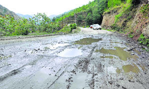 Vehicles move slowly on the potholed Shimla-Kotkhai road on Thursday.