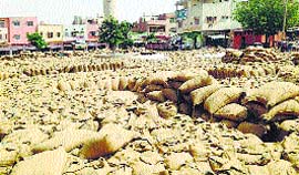 Wheat bags lying at the grain market in Fatehabad.