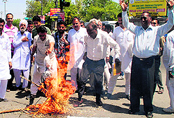 Expressing anger: Members of the Dalit Samaj burn an effigy of yoga guru Ramdev in Bathinda on Sunday