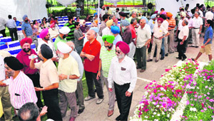 Members queue up to cast their vote during the Golf Club election in Chandigarh on Sunday.