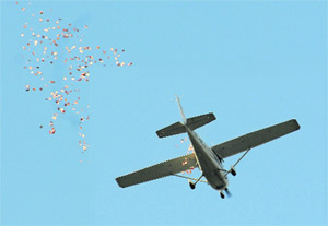 The Mohali district administration showered 80,000 invitation cards from a plane to appeal to voters to exercise their franchise on April 30. Pamphlets were also printed to spread awareness among residents. 