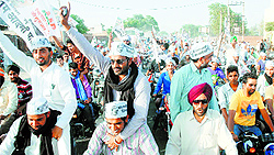 Aam Aadmi Party supporters campaign for partys Patiala nominee Dr Dharamvir Gandhi on Sunday