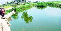 A farmer of Kadr Baksh village shows the sewage water overflowing from the old Fazilka drain