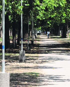 The newly installed electric poles at the road separating Sectors 10 and 9 on the Sector 10 side in Chandigarh