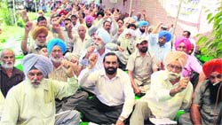 Members of the Pensioners Association of the Punjab State Power/Transmission Corporation Limited protest in support of their demands in Jalandhar on Monday. Photo: Sarabjit Singh