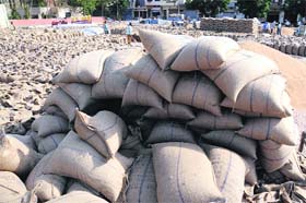 Wheat lying in the local grain market in Bathinda on Tuesday.