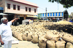 Sacks filled with wheat lying in the open at the grain market in Hisar on Wednesday.